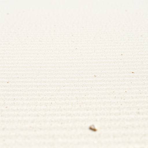 Détail du sable fin et blanc de la plage de Saleccia.